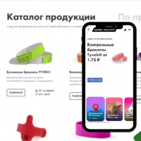 AnyConv.com__site(4)